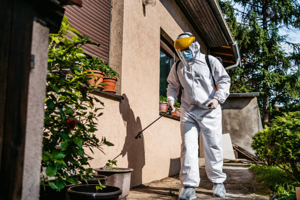 Best Cockroach Control Services  in Encinal, TX