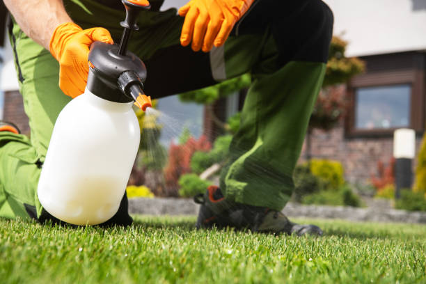 Best Mosquito Control Services  in Encinal, TX
