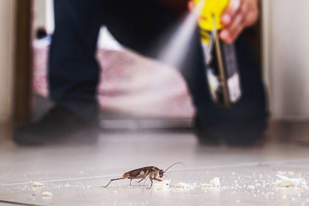 Best Residential Pest Control  in Encinal, TX
