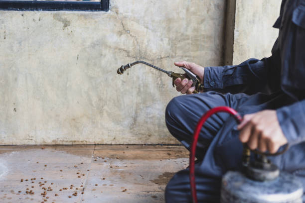 Best Exterminator Services  in Encinal, TX