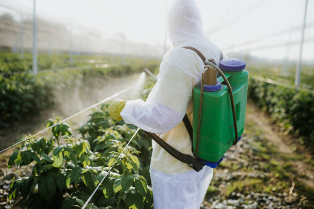 Best Insect Control  in Encinal, TX
